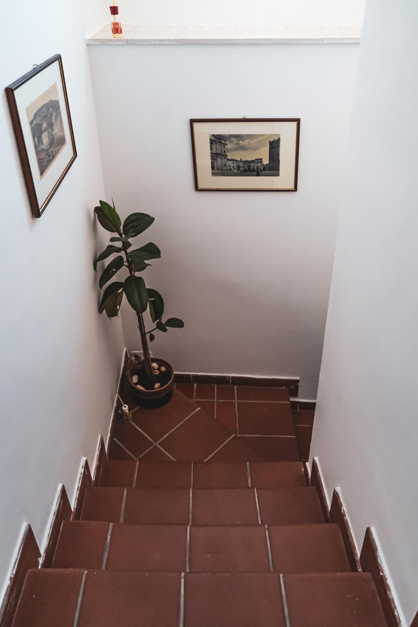 Casina Carina - Intero Appartamento Indipendente Alatri 외부 사진
